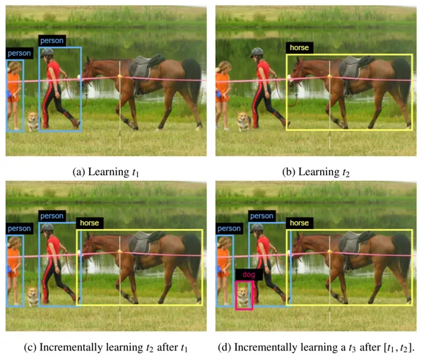 Continual Object Detection: A review of definitions, strategies, and challenges