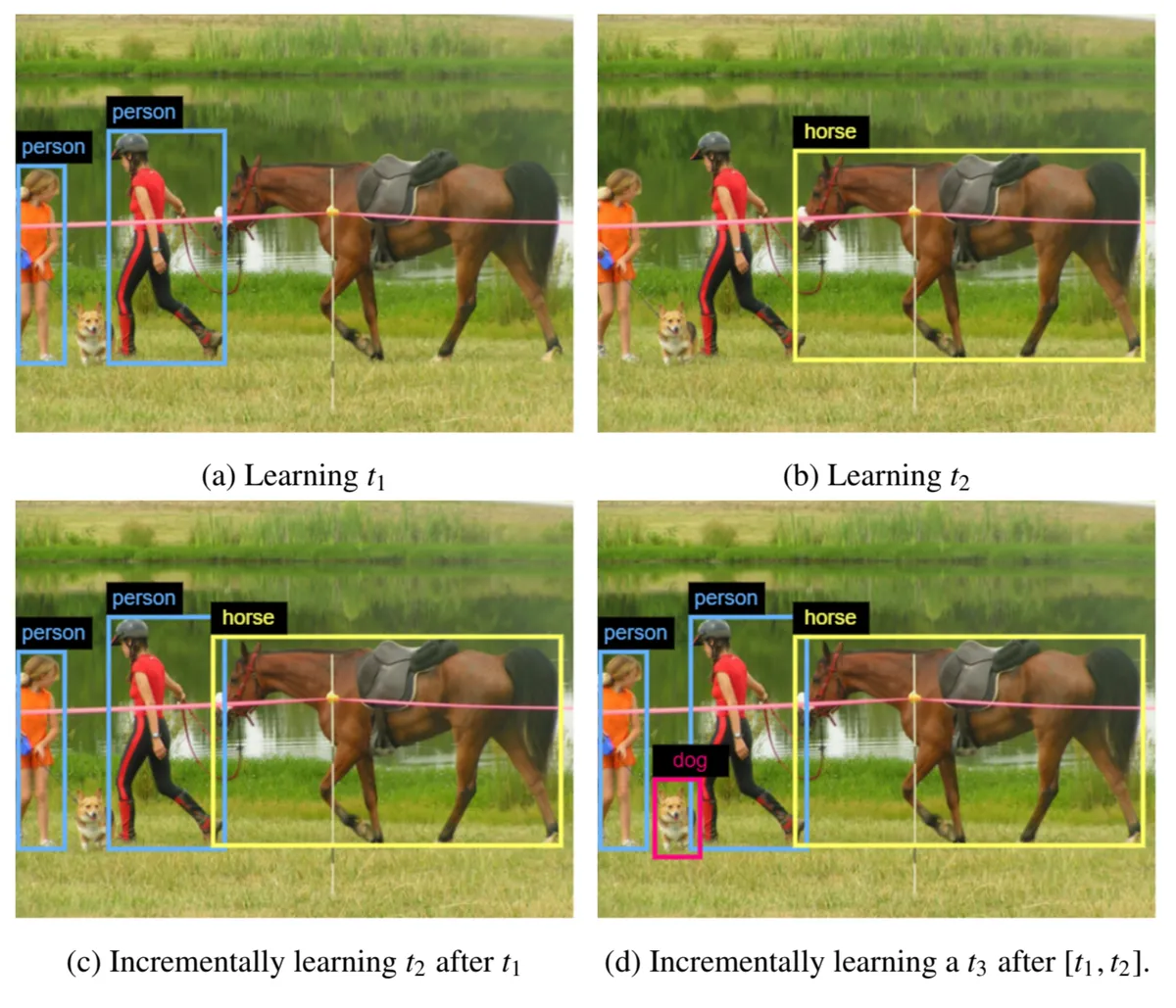 Continual Object Detection: A review of definitions, strategies, and challenges