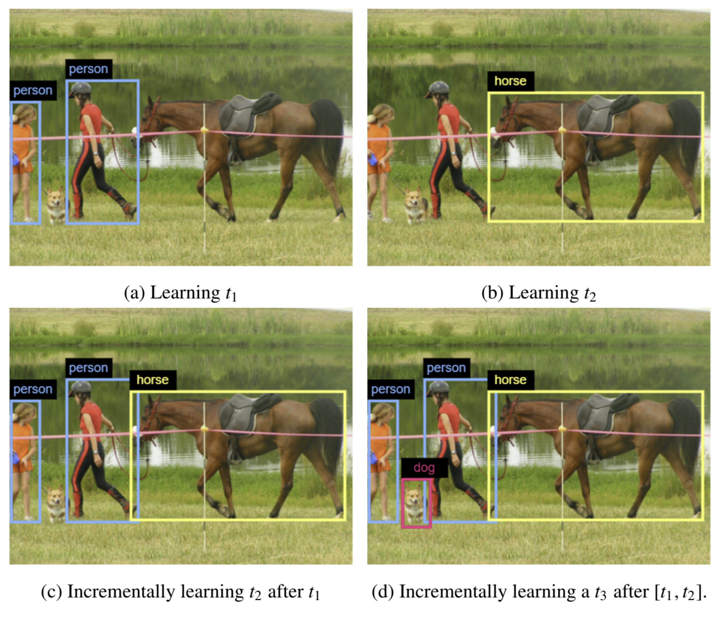 Continual Object Detection